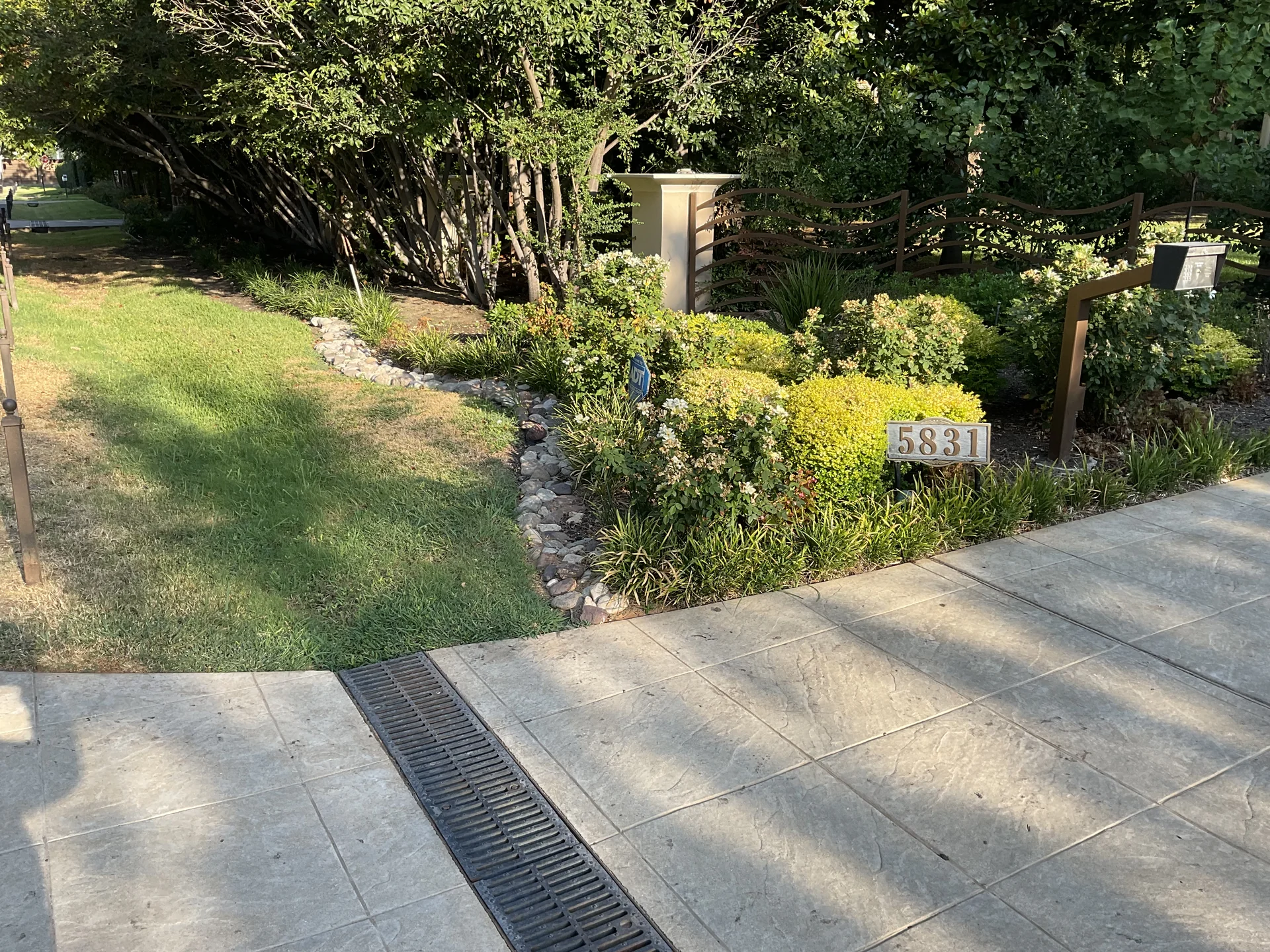 Vibrant Texas native perennials including autumn sage, blackfoot daisy, and purple coneflower in stone garden bed