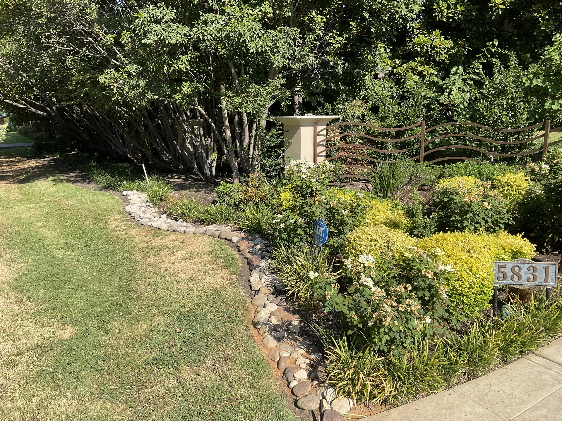 Healthily fertilized turfgrass lawn with organic top-dressing in North Texas