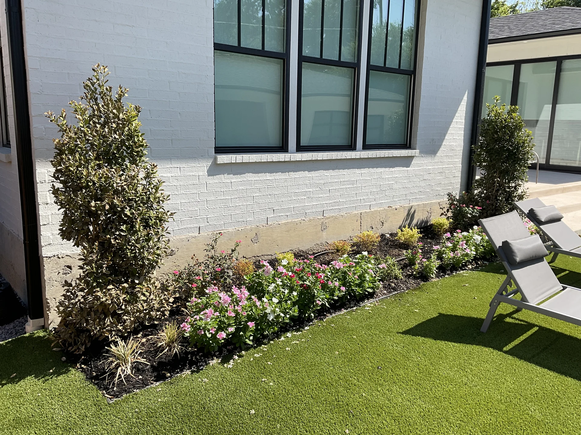 Blooming summer perennials and ornamental grasses in suburban backyard