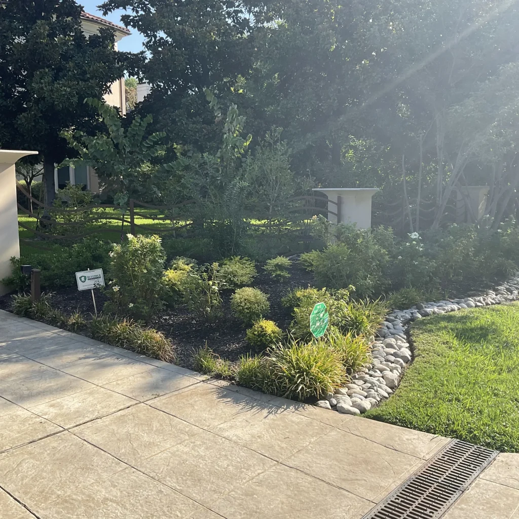 Sprinkler System vs Drip Irrigation: Which Is Right for Your DFW Property?