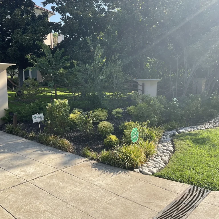 Sprinkler System vs Drip Irrigation: Which Is Right for Your DFW Property?