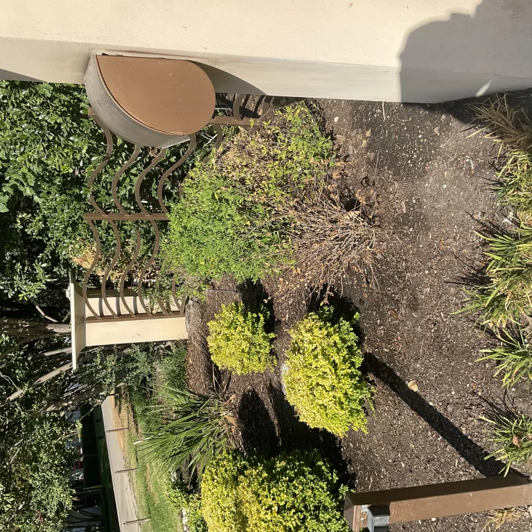 Dry Creek Bed and Rain Garden Design for DFW: Natural Drainage Solutions for Clay Soil
