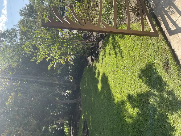 Pergola and Arbor Installation Guide: Shade Structures for Texas Backyards