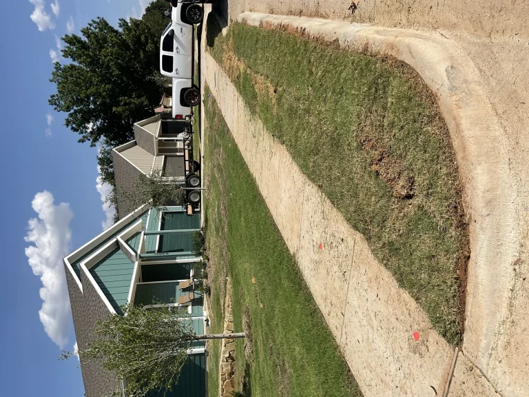 Mosquito Control Landscaping: Plants and Practices to Reduce Pests in Your DFW Yard