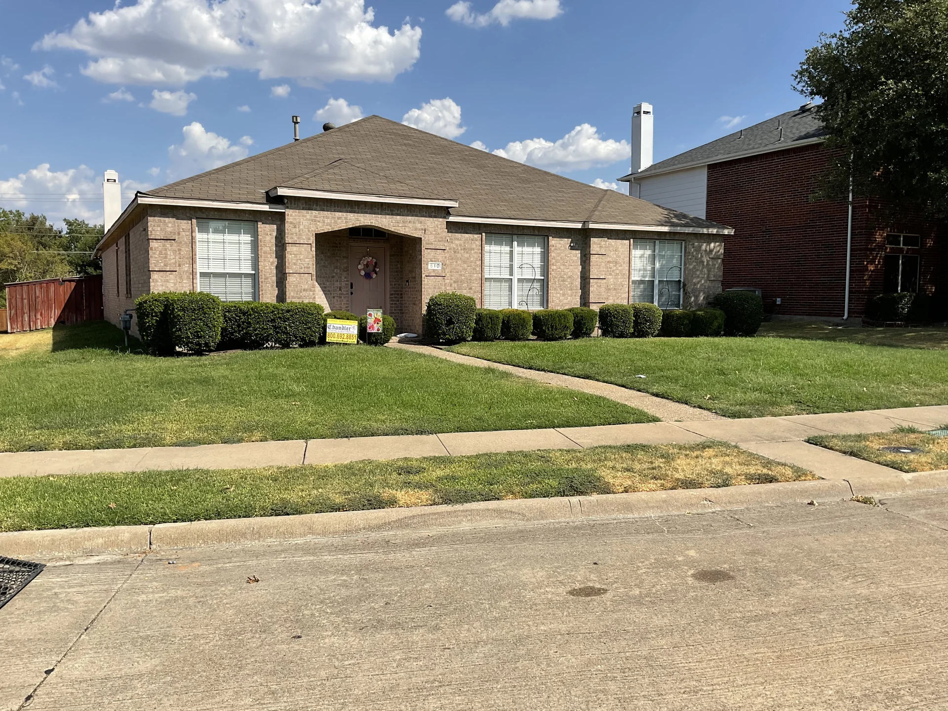 Well-maintained native plant beds and trimmed shrubs in DFW yard
