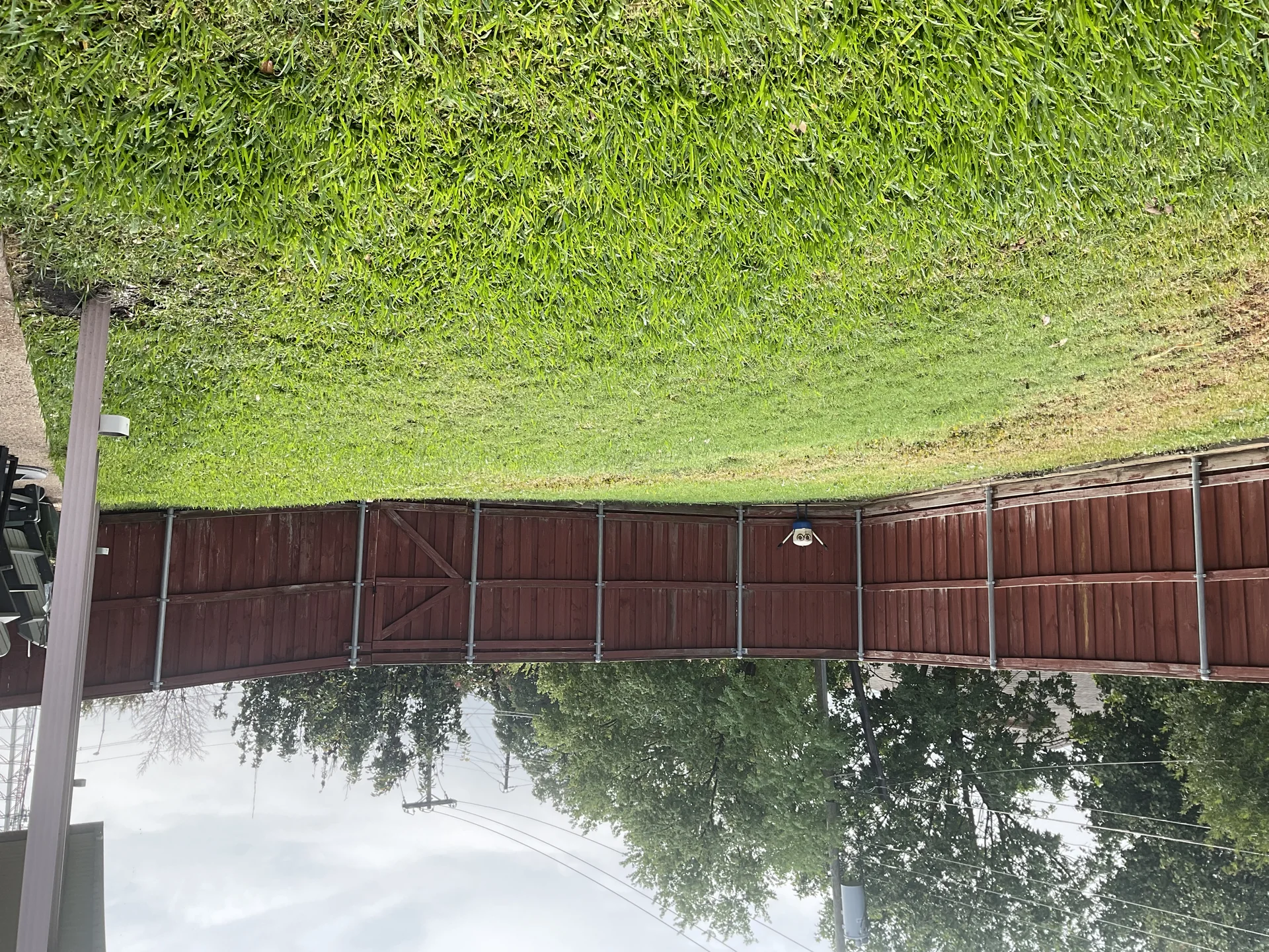 Natural screening shrubs and perimeter border planting along wooden fence