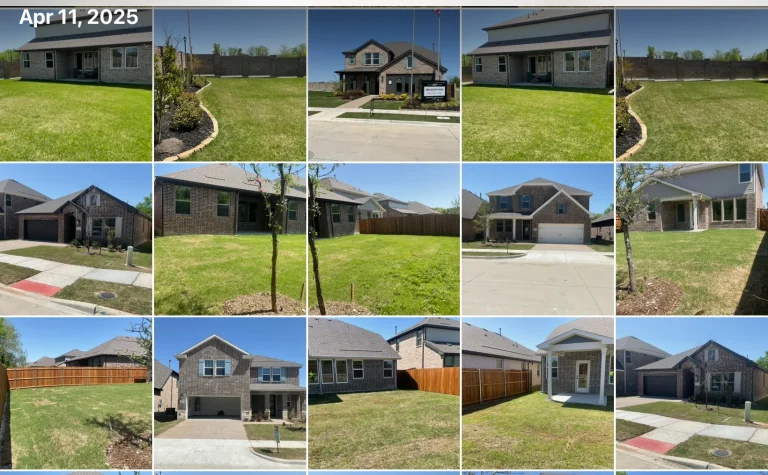 Organic Lawn Care in Texas: Natural Fertilizers, Compost, and Chemical-Free Weed Control