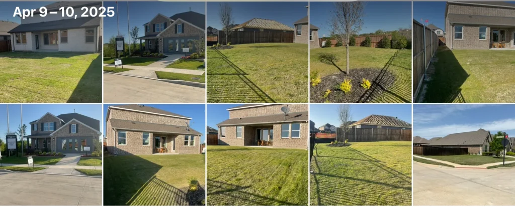 Xeriscaping for DFW Homes: Beautiful Water-Wise Landscaping for Texas Yards