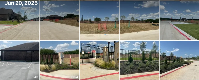 How to Create a Drought-Tolerant Landscape in Texas: A Complete Guide